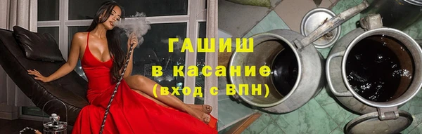 прущие грибы Алзамай