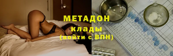 прущие грибы Алзамай