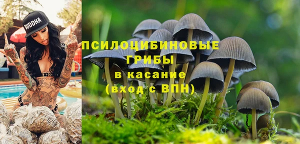 таблы Алексеевка