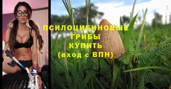героин Алексин
