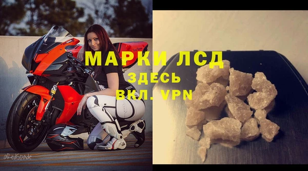 прущие грибы Алзамай