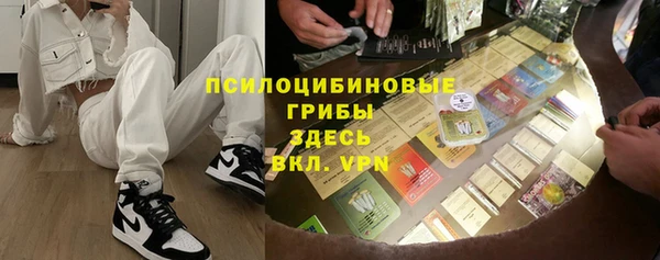 прущие грибы Алзамай