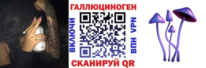 как найти наркотики  Заполярный  Псилоцибиновые грибы мицелий 